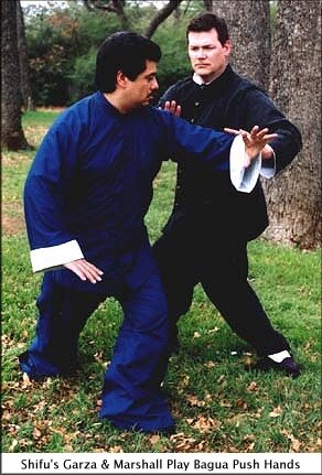 Shifu's Garza and Marshall Play Bagua Push Hands